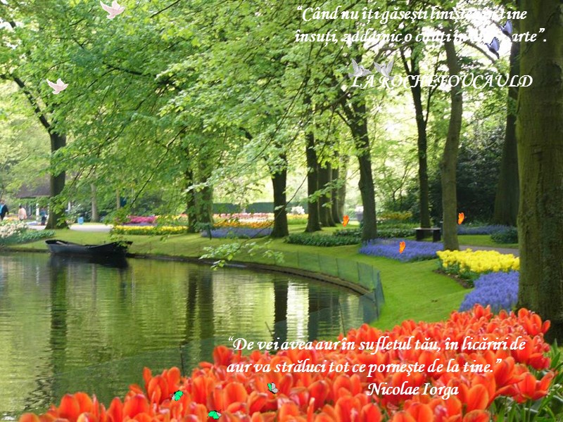 “Când nu îţi găseşti liniştea în tine însuţi, zadarnic o cauţi în altă parte”.